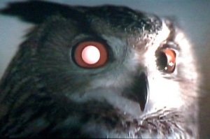 artificial owl in the film Blade Runner